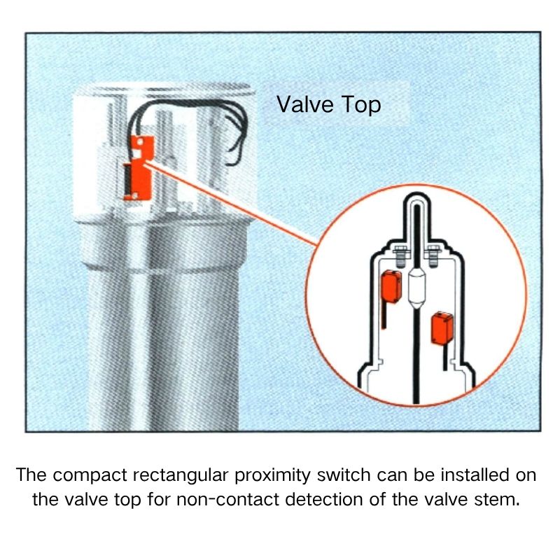你的段落文字 1